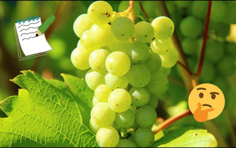 Las uvas destacan por su contenido en antioxidantes. Pexels