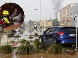 El video se viralizó en la plataforma de TikTok. ESPECIAL / EFE / TIKTOK