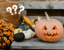 Se recomienda que estos signos se queden en sus casas. Pexels