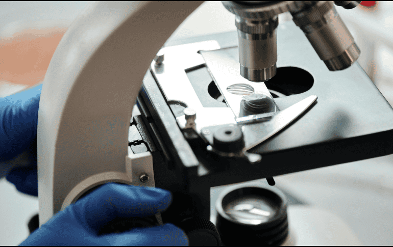 En la escala biológica, los viroides son los agentes infecciosos más pequeños conocidos; están por debajo de los virus. Pexels