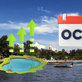 Cierre de mes "casi" perfecto; este es el nivel del lago de Chapala hoy 31 de octubre de 2024