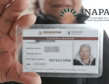 Hay hasta nueve modelos de esta credencial. ESPECIAL / INAPAM