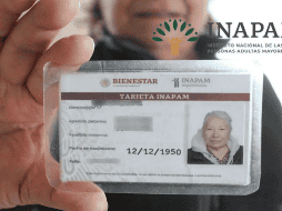 Hay hasta nueve modelos de esta credencial. ESPECIAL / INAPAM