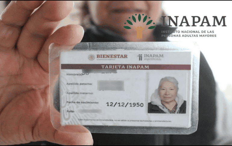 Hay hasta nueve modelos de esta credencial. ESPECIAL / INAPAM