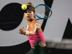 El tenis nacional está viviendo su mejor momento en los últimos años. CORTESÍA.