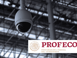 El estudio de Profeco analizó 8 cámaras de exteriores y 7 de interiores. CANVA