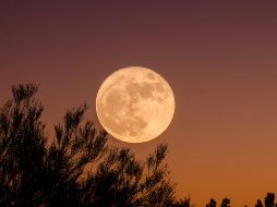 Este tipo de lunas ocurre cuando la Luna está en su fase llena y además se encuentra en su punto más cercano a la Tierra. UNSPLASH / G. KUMAR