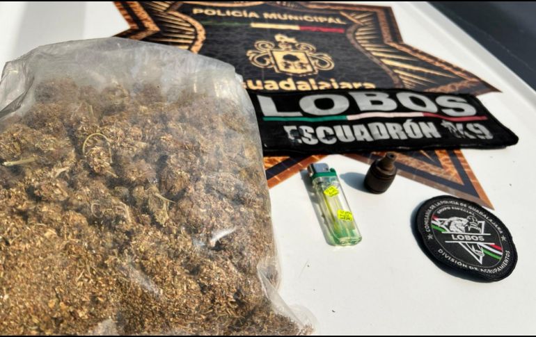 Se reportó saldo blanco el día de ayer durante las visitas y celebraciones de Día de Muertos.