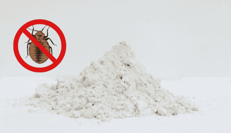 &nbsp;&nbsp;La “Cruz Negra” es un insecticida natural que se utiliza para eliminar plagas de insectos en plantas y jardines, como las chinches. CANVA