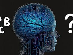 Experimento demuestra que neuronas de la corteza prefrontal tienen un papel fundamental para el proceso del lenguaje. ESPECIAL/ Pixabay y Canva