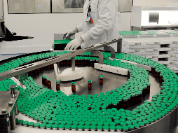 La OMS realizó la investigación consultando con expertos internacionales y regionales en epidemiología de patógenos, vacunas y médicos. EFE/ARCHIVO