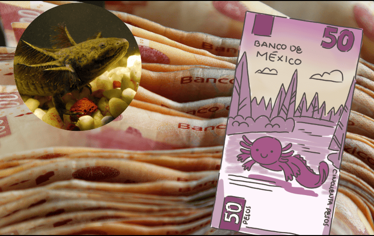 El único billete de ajolote que puede venderse mucho más caro es primero en fabricarse, el de número de serie uno. EL INFORMADOR / EFE / ARCHIVO