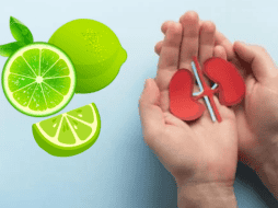 Si deseas aprovechar sus beneficios, lo ideal es consumirlo diluido en agua y no en exceso, preferentemente después de haber ingerido alimentos. Como siempre, es fundamental escuchar a tu cuerpo y consultar con un profesional de la salud si tienes dudas sobre cómo este jugo puede afectar tu bienestar renal. CANVA