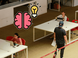 Estos frutos son fuente flavonoides, mismos que generan un impacto positivo en la salud neuronal. EL INFORMADOR / ARCHIVO