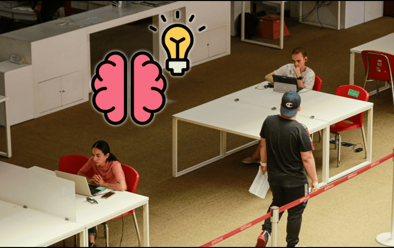 Estos frutos son fuente flavonoides, mismos que generan un impacto positivo en la salud neuronal. EL INFORMADOR / ARCHIVO