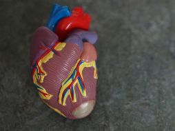 Las conclusiones subrayan la importancia de aumentar el sueño tras un infarto de miocardio. ESPECIAL / Foto de Robina Weermeijer en Unsplash