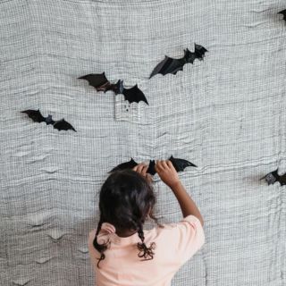 Bióloga desmiente 3 mitos más famosos sobre los murciélagos