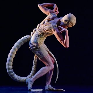 Aterriza una extraña criatura que vive a “100 años luz en soledad”