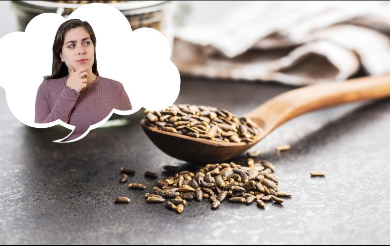 La semilla del cardo mariano aporta propiedades antioxidantes y antiinflamatorias, protege la mucosa gástrica y el funcionamiento del hígado. ESPECIAL / CANVA