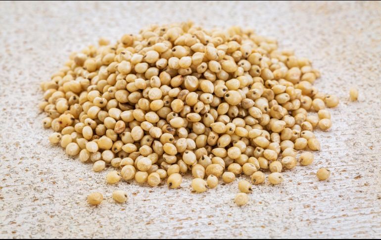 Al ser un cereal sin gluten, resulta ideal para personas con sensibilidad a este compuesto, quienes suelen enfrentar mayores dificultades para encontrar alimentos que no solo sean seguros, sino también nutritivos. ESPECIAL / CANVA