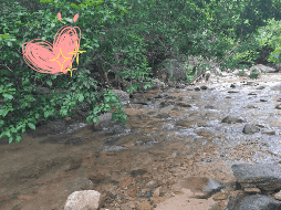 Estos cuerpos de agua son el destino perfecto para disfrutar al máximo de la Semana Santa 2025. EL INFORMADOR / O. Álvarez