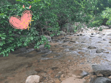 Estos cuerpos de agua son el destino perfecto para disfrutar al máximo de la Semana Santa 2025. EL INFORMADOR / O. Álvarez
