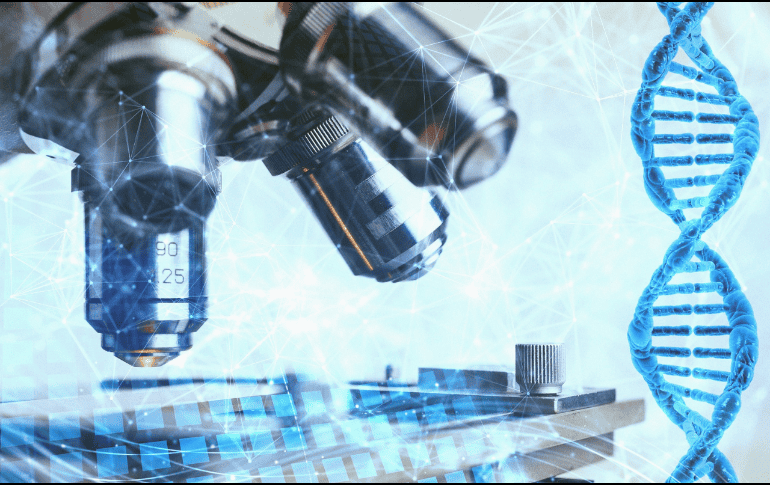 Los investigadores hallaron lncARN con expresión alterada en tipos específicos de tumores. Pixabay