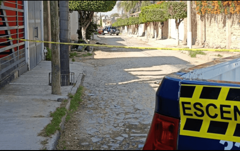 En el Código Penal de Jalisco se establecen penas de cárcel de seis meses hasta tres años a quien o quienes resulten responsables de crueldad animal. CORTESÍA/Coordinación de Seguridad y Emergencias Tonalá.