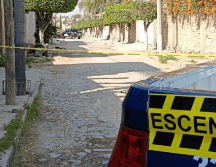 En el Código Penal de Jalisco se establecen penas de cárcel de seis meses hasta tres años a quien o quienes resulten responsables de crueldad animal. CORTESÍA/Coordinación de Seguridad y Emergencias Tonalá.