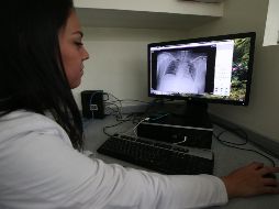 El magnesio ayuda no solo en el mantenimiento de la salud muscular y el sistema nervioso, sino que también contribuye al fortalecimiento de los huesos. EL INFORMADOR / ARCHIVO