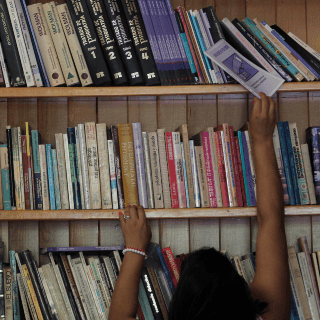 ¿Qué se celebra hoy 12 de noviembre en México?