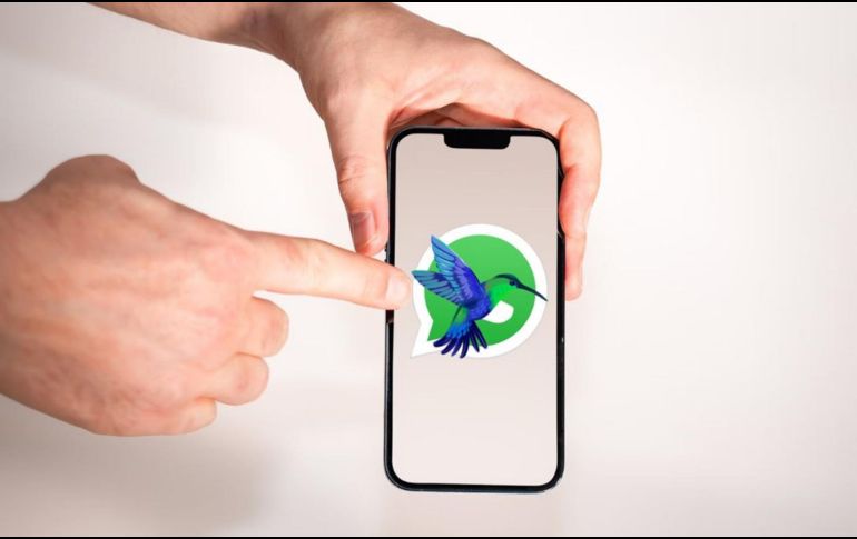 Este cambio estético no modifica la configuración interna de la plataforma. UNSPLASH / J. ZERDZICKI