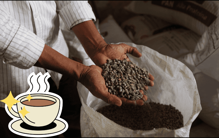 El polvo del café puede combinarse con cualquier tipo de comida y bebida por lo que es muy fácil incluirlo en la alimentación. EL INFORMADOR / ARCHIVO