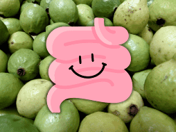 La guayaba actúa positivamente en la salud intestinal y en la sensación de saciedad. EL INFORMADOR / ARCHIVO