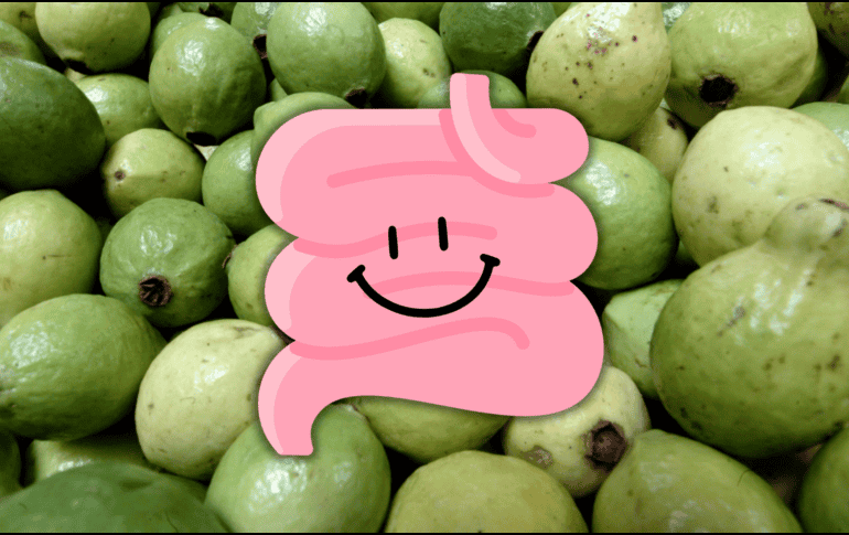 La guayaba actúa positivamente en la salud intestinal y en la sensación de saciedad. EL INFORMADOR / ARCHIVO