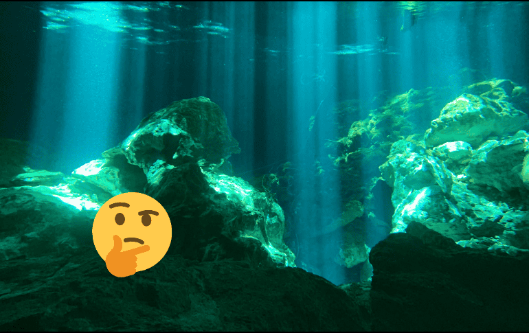 El proyecto aborda también el impacto que tuvieron los primeros habitantes humanos. Pexels