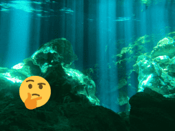 El proyecto aborda también el impacto que tuvieron los primeros habitantes humanos. Pexels