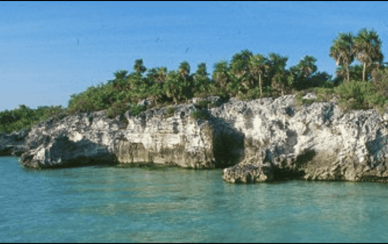 Este estudio demuestra que, América Latina y en especial México es un verdadero tesoro de biodiversidad. ESPECIAL/Isla Contoy