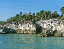 Este estudio demuestra que, América Latina y en especial México es un verdadero tesoro de biodiversidad. ESPECIAL/Isla Contoy