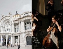 El programa incluye importantes artistas como Vivaldi, Beethoven y Popper. ESPECIAL/SUN/Archivo y Pexels