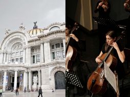 El programa incluye importantes artistas como Vivaldi, Beethoven y Popper. ESPECIAL/SUN/Archivo y Pexels