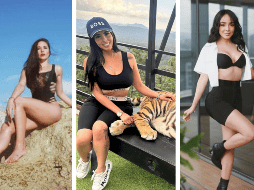 Ellas son las influencers recientemente vinculadas a miembros de organizaciones criminales. ESPECIAL / INSTAGRAM @jackyoficial_ / @gaby_mtvacashore / @manelyk_oficial