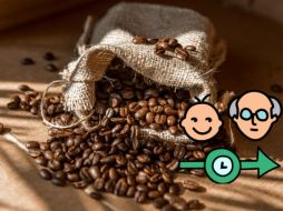 La ciencia ha demostrado que el café, cuando se consume con moderación, tiene muchos beneficios para la salud, como mejorar la memoria, aumentar la energía y reducir el riesgo de enfermedades neurodegenerativas, como el Alzheimer. CANVA