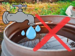 En EL INFORMADOR, te compartimos una guía fácil y rápida para almacenar correctamente este vital líquido en tu casa.  FREEPIK / CANVA