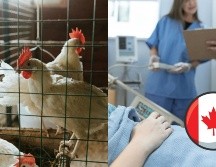 No está claro cómo fue que el adolescente contrajo el virus. ESPECIAL/Pexels