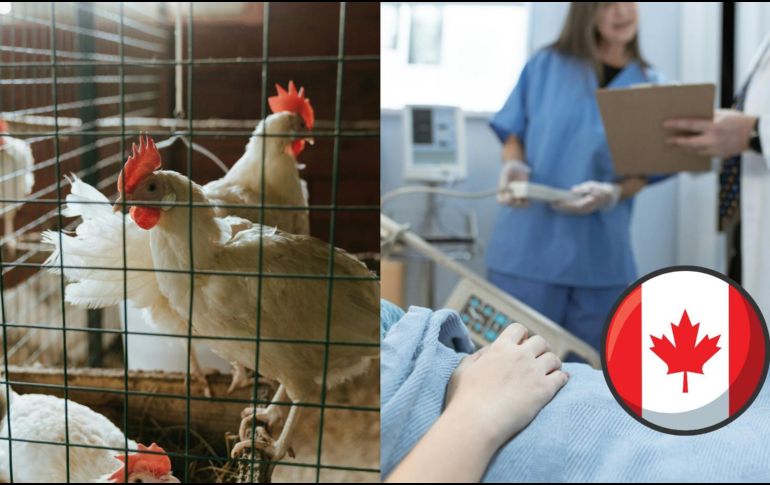 No está claro cómo fue que el adolescente contrajo el virus. ESPECIAL/Pexels