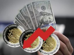 Este es el tipo de cambio del dólar en bancos, para hoy 14 de noviembre 2024 en México. EFE / ARCHIVO