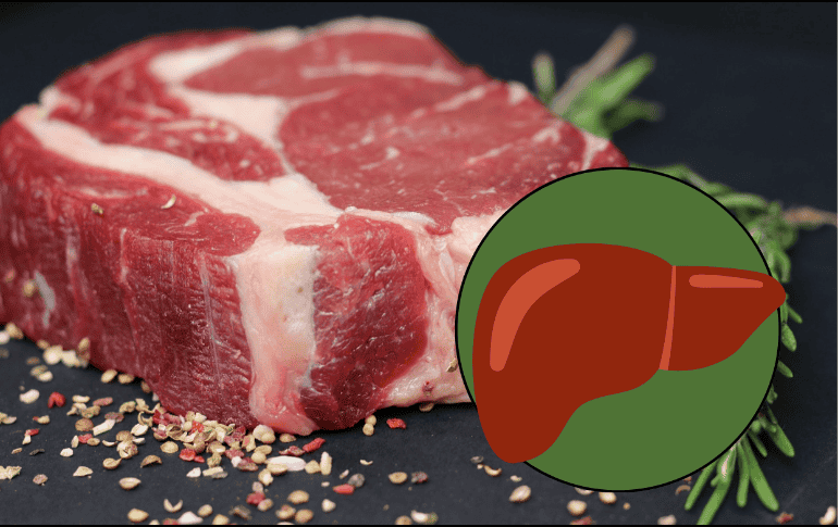 Especialistas señalan que una vida sedentaria, el sobrepeso, la obesidad y dietas poco saludables, además del consumo de alcohol, son factores que incrementan las posibilidades de padecer hígado graso. ESPECIAL/Imagen de tomwieden en Pixabay