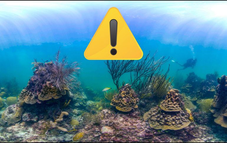 Revertir esta crisis de corales pasa definitivamente por reducir las emisiones de gases de efecto invernadero, sostienen los expertos de la organización. AP / ARCHIVO