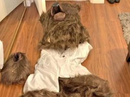 Los sospechosos afirmaron que un oso había causado daños a sus vehículos, incluyendo un Rolls-Royce y dos Mercedes, con supuestas pruebas en video. ESPECIAL